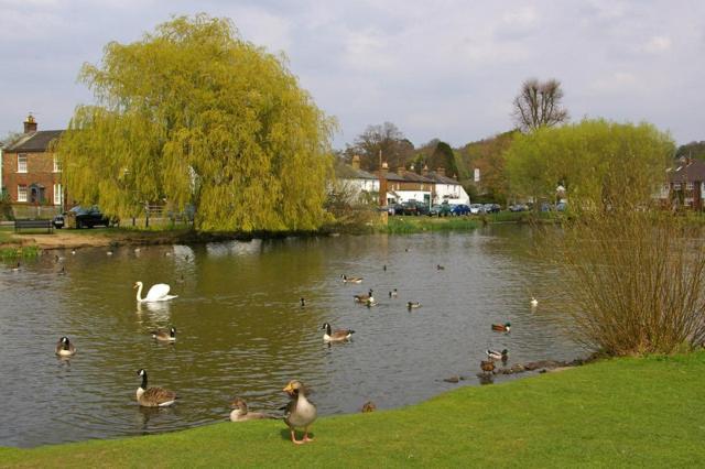 West End Lodge Esher Bagian luar foto