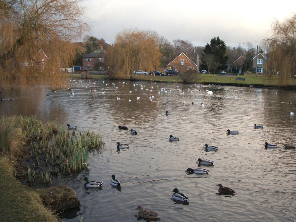 West End Lodge Esher Bagian luar foto